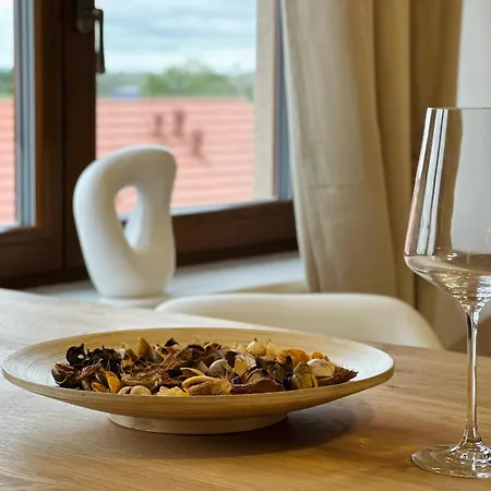 Kralovice Lägenhet *