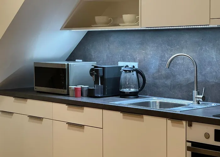 Lejlighed Kralovice Prag